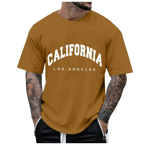 Huesdet Men's Lightweight Short Sleeve T-Shirt Quick Dry Workout Running Athletic Tee Shirt Tops(Coffee,S)