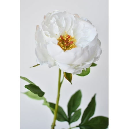 22" Faux White Peony Stem