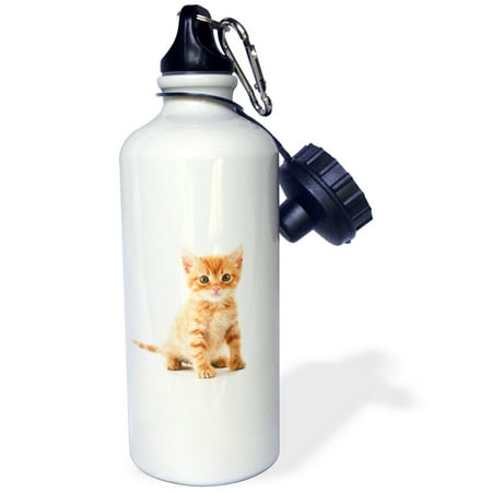 

3dRose Cute Orange Tabby Kitten Sports Water Bottle 21oz