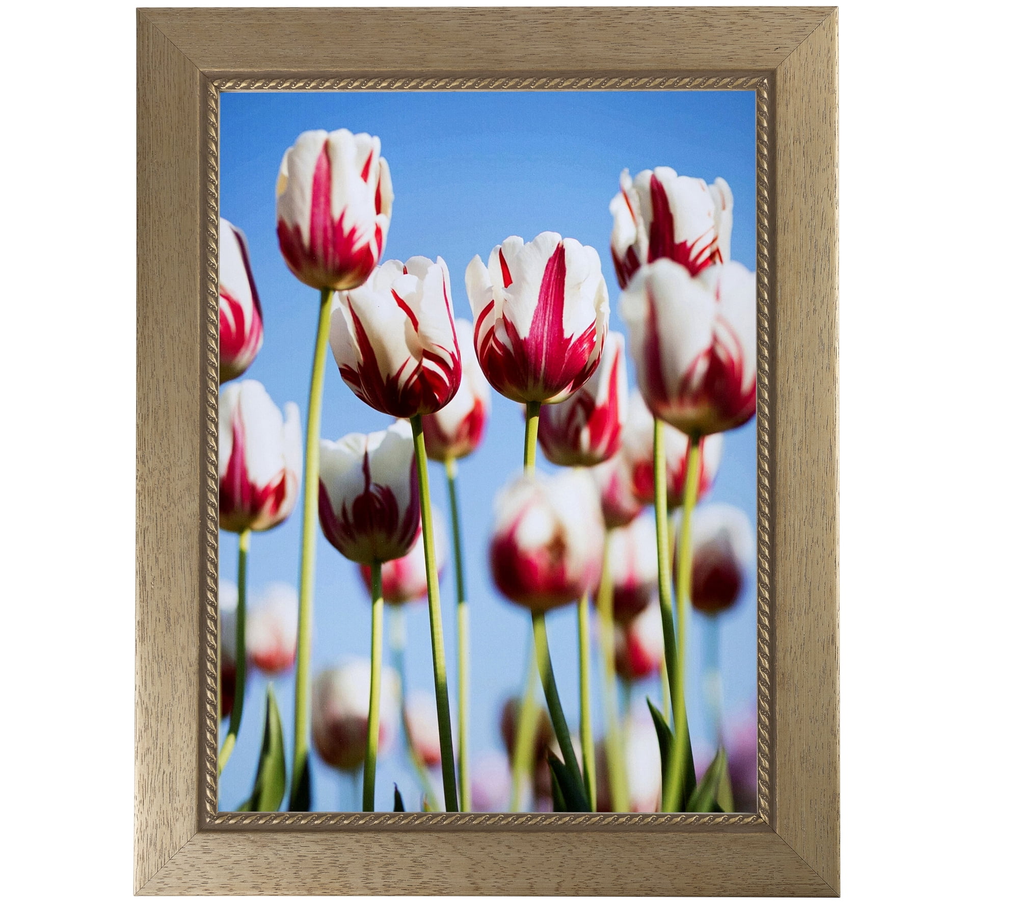 ArtToFrames 16" x 20" Metallic Gold with Ornate Detail Picture Frame, 16x20 inch Gold Wood Poster Frame (WOM-4576)