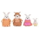 thumbnail image 3 of Figuras de conejo coleccionables Li'l Woodzeez Hoppingoods Rabbit, 3 of 9