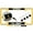 gold - Style 2, variant on [Officially Licensed Product] - Veteran U.S. Army with Star Logo - Domed Custom-Made Personalized Narrow (Thin) Top 4 Hole Metal Car License Plate Frame with Free caps - Black (Quantity: 1 Frame)