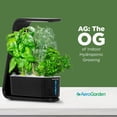 thumbnail image 3 of AeroGarden Sprout with Gourmet Herbs Seed Pod Kit, Black, 3 of 9