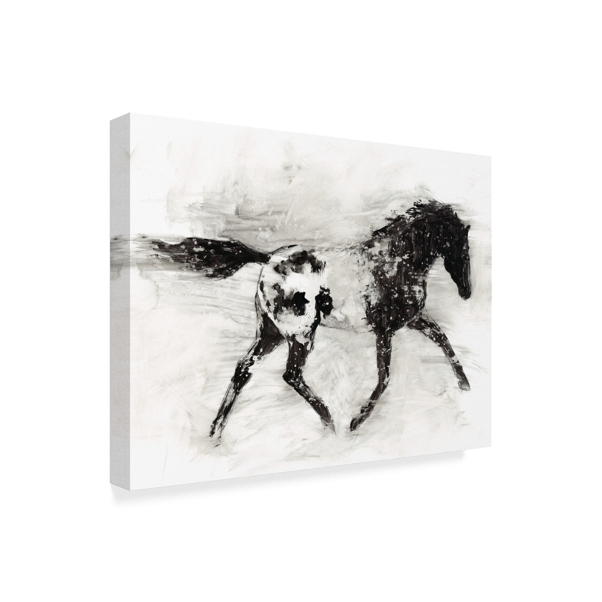 Trademark Fine Art 'Rustic Appaloosa I' Canvas Art by Ethan Harper