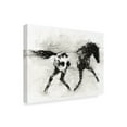 thumbnail image 2 of Trademark Fine Art 'Rustic Appaloosa I' Canvas Art by Ethan Harper, 2 of 4