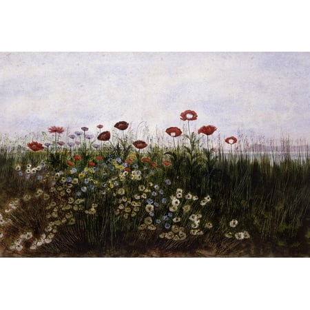 Red Flower Painting - Flowers on the Irish Coast Fine Art Red Flower Painting Print Wall Art By Andrew Nicholl