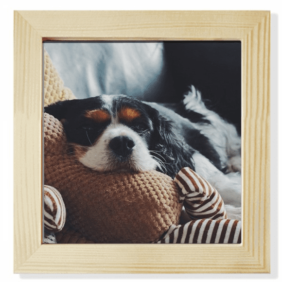 Lazy Dog Animal Sentimental Picture Square Picture Frame Wall Tabletop Display