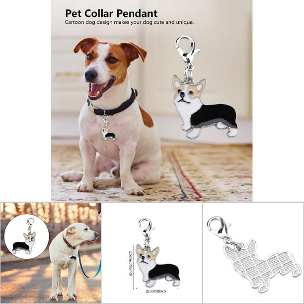 Pendant for deals dog collar