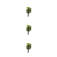 thumbnail image 1 of Matsuzay Árbol en miniatura de arena planta ornamento de jardín modelo de construcción DIY artesanía ferrocarril simulación decoración Type1 NO1, 1 of 6