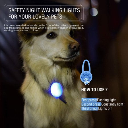 Dog collar on sale led flashing light