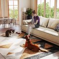 thumbnail image 4 of Boho Vintage Area Rug 5x7 Machine Washable Low Pile Ultra-Thin Soft Floor Carpet Non Slip Non Shedding Accent Rug for Living Room Bedroom Entryway Dining Room Office, 4 of 11