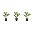 thumbnail image 3 of Plantas falsas bajo mantenimiento Toystoory ABS tortuga en maceta hojas artificiales para el hogar Oficina sala de estar JH5476 Type1 NO1, 3 of 6