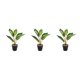 thumbnail image 5 of Planta de tortuga Billuyoard ecológica de bajo mantenimiento artificial para decoración de hogar y oficina, 5 of 6