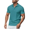 thumbnail image 3 of DDAPJ pyju Mens Mesh Polos Shirt Moisture Wicking Short Sleeve Performance Golf Shirt Basic Solid 3 Buttons Collared T-Shirts Rebajas Flash Sky Blue L, 3 of 9