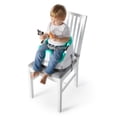 thumbnail image 4 of Asiento para Bebé Come y Descubre Baby Einstein 12649, 4 of 4