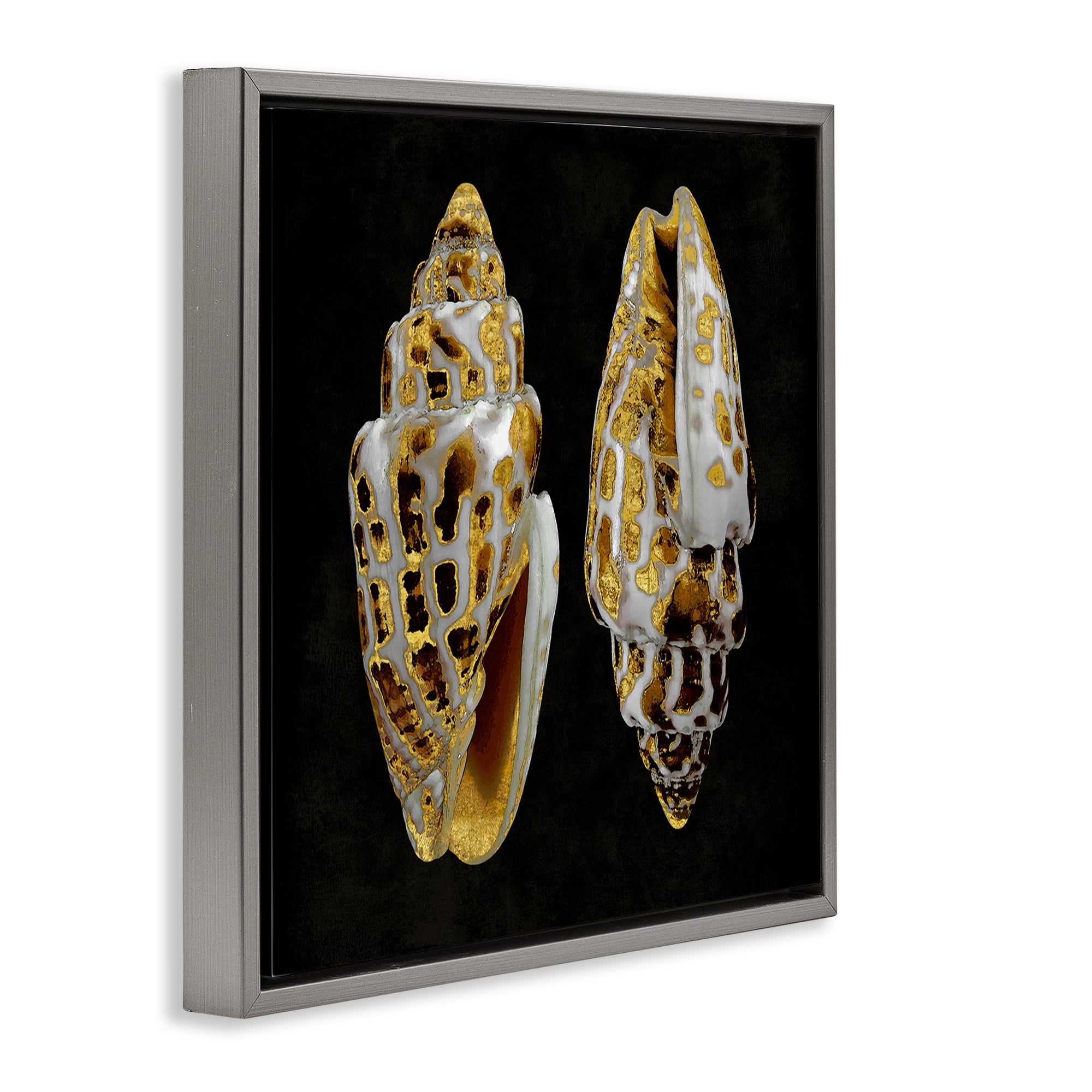 Stupell Industries Spotted Cowrie Shells Nautical & Beach Painting Gray Floater Framed Canvas Art Print Wall Art, 18 x 18