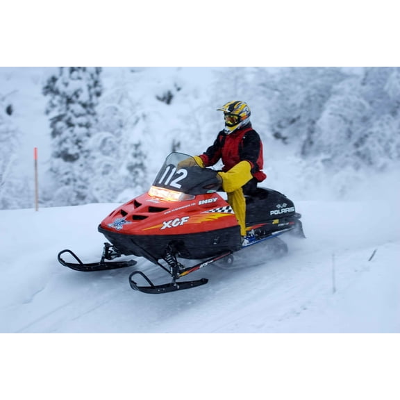 Searchlight GP Arctic III Wall Decal