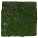 thumbnail image 1 of Alfombra de musgo artificial de imitación, césped artificial, ideal para bodas, hogar, patio, balcón, decoración interior y exterior, 30 x 30 cm., 1 of 7
