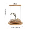 thumbnail image 2 of BRIGHTFUFU Desktop Small Fish Tank Hydroponic Planter Green Office Accessory 1 Set, 2 of 6
