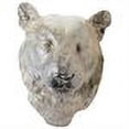 thumbnail image 2 of Gilded Aged Lioness, 2 of 2