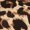 BROWN, variant on Women's Printed Pattern Cropped Zip Front Hoodie