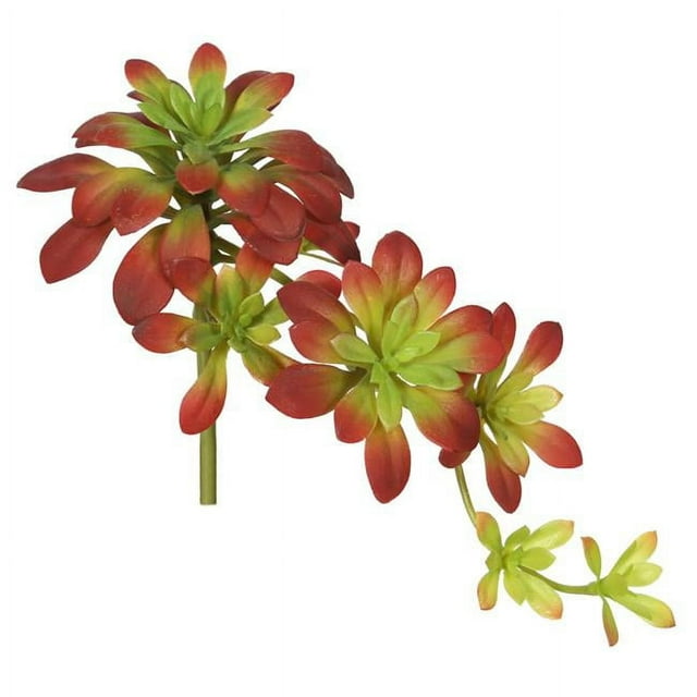 Vickerman FA170101 Burgundy & Green Atropurpureum Succulent
