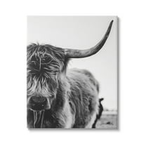 Stupell Industries Highland Cow Cattle Horn Close Up Serene Photography Photograph Gallery Wrapped Canvas Print Wall Art, Design by Dakota Diener