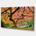 thumbnail image 3 of Design Art - Érable d'Automne, 3 of 4