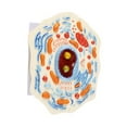 thumbnail image 2 of HILABEE Cell Anatomy Model Experimental Classroom Learning Study Biology Science Kit Animal Cell Model, 2 of 9