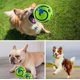 thumbnail image 3 of Pelota de juguete para entrenamiento de perros, con sonido divertido, oscilante, Wag, Giggle Ball oso de fresa Electrónica, 3 of 5