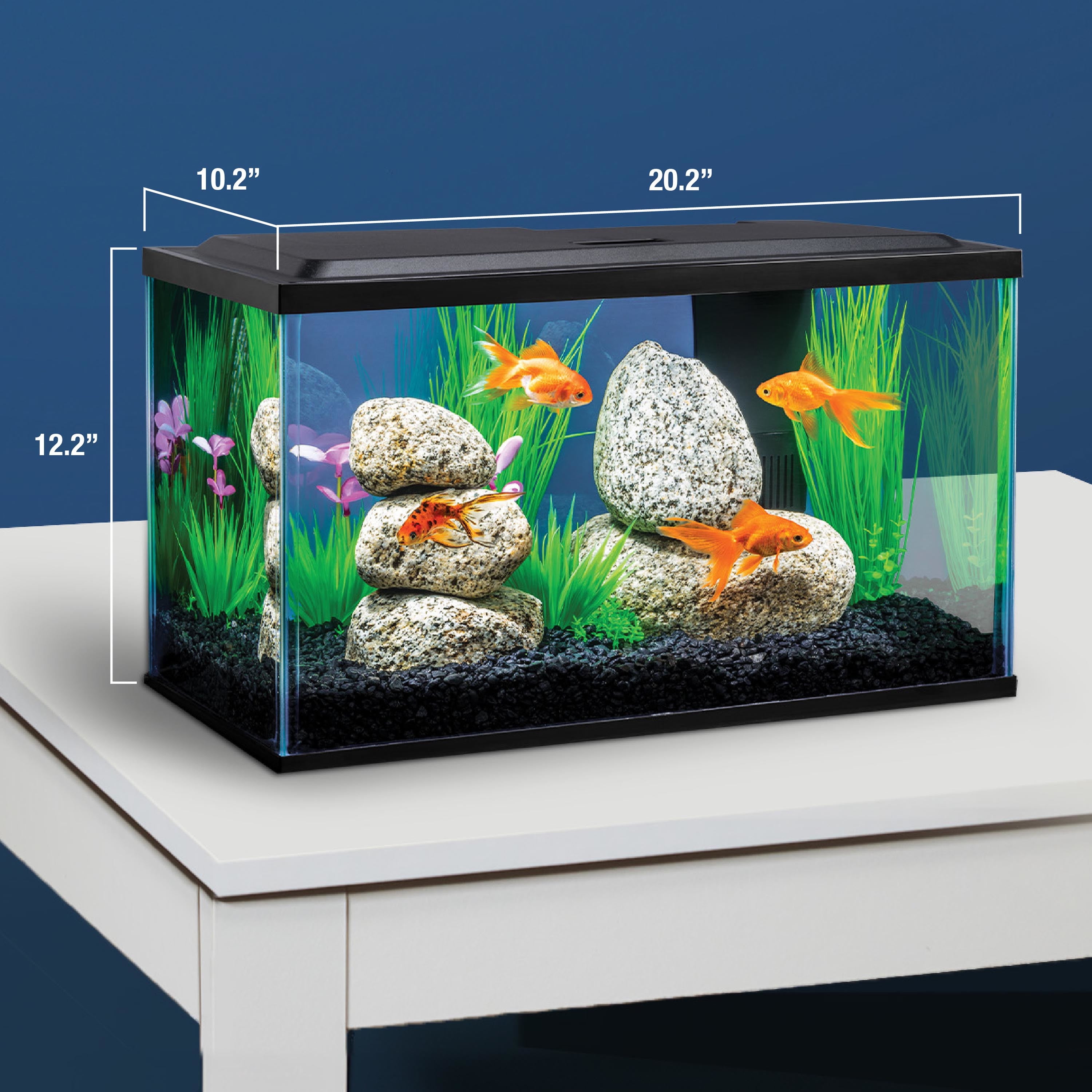 Goldfish aquarium kit online