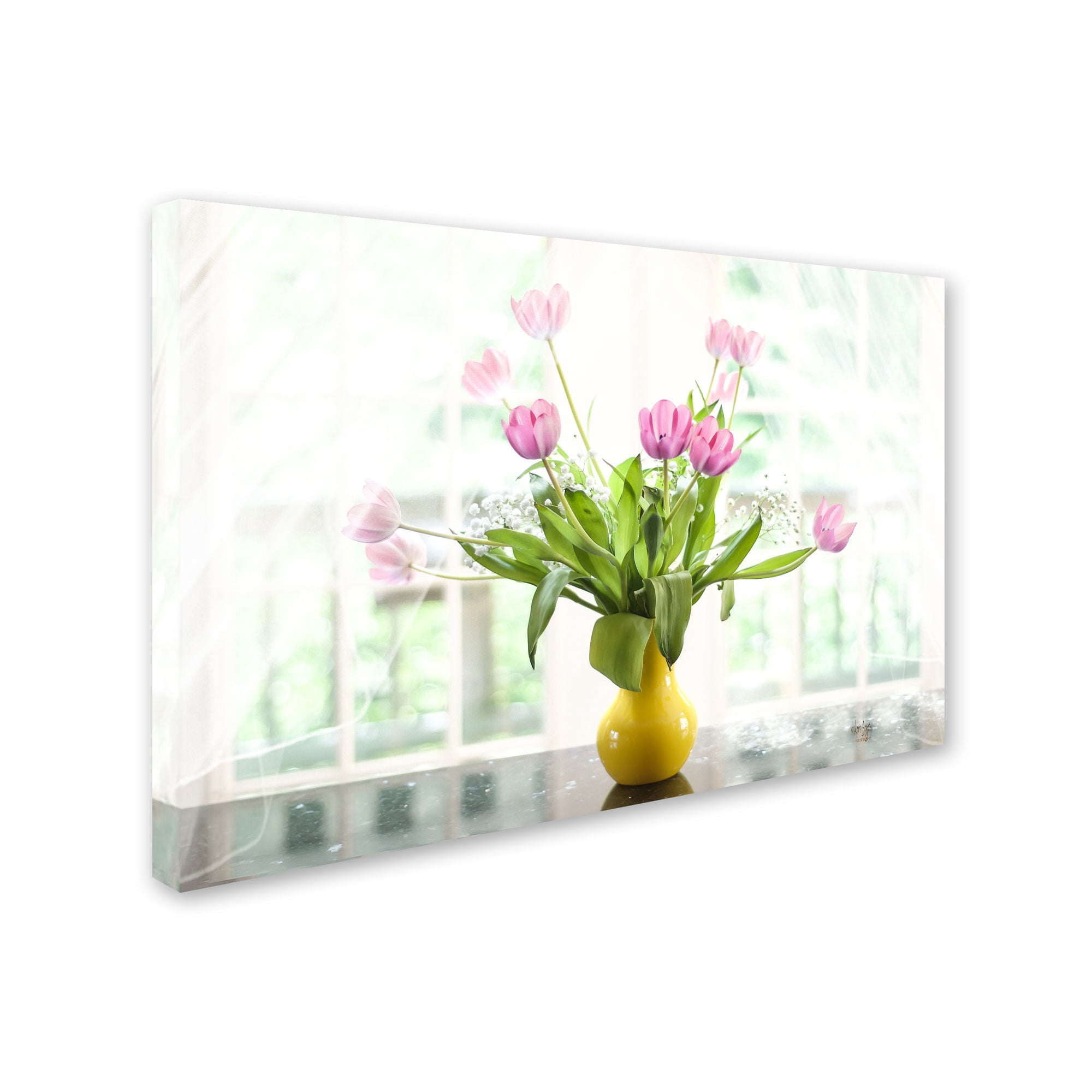 Trademark Fine Art "Pink Tulips in the Window" Canvas Art by Lois Bryan