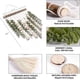 thumbnail image 4 of Nvzi Decoración de pared de eucalipto artificial, hojas de vegetación falsa, tallos, plantas colgantes de pared en palo de madera de 15,7 pulgadas,comedor, baño, H, 4 of 4