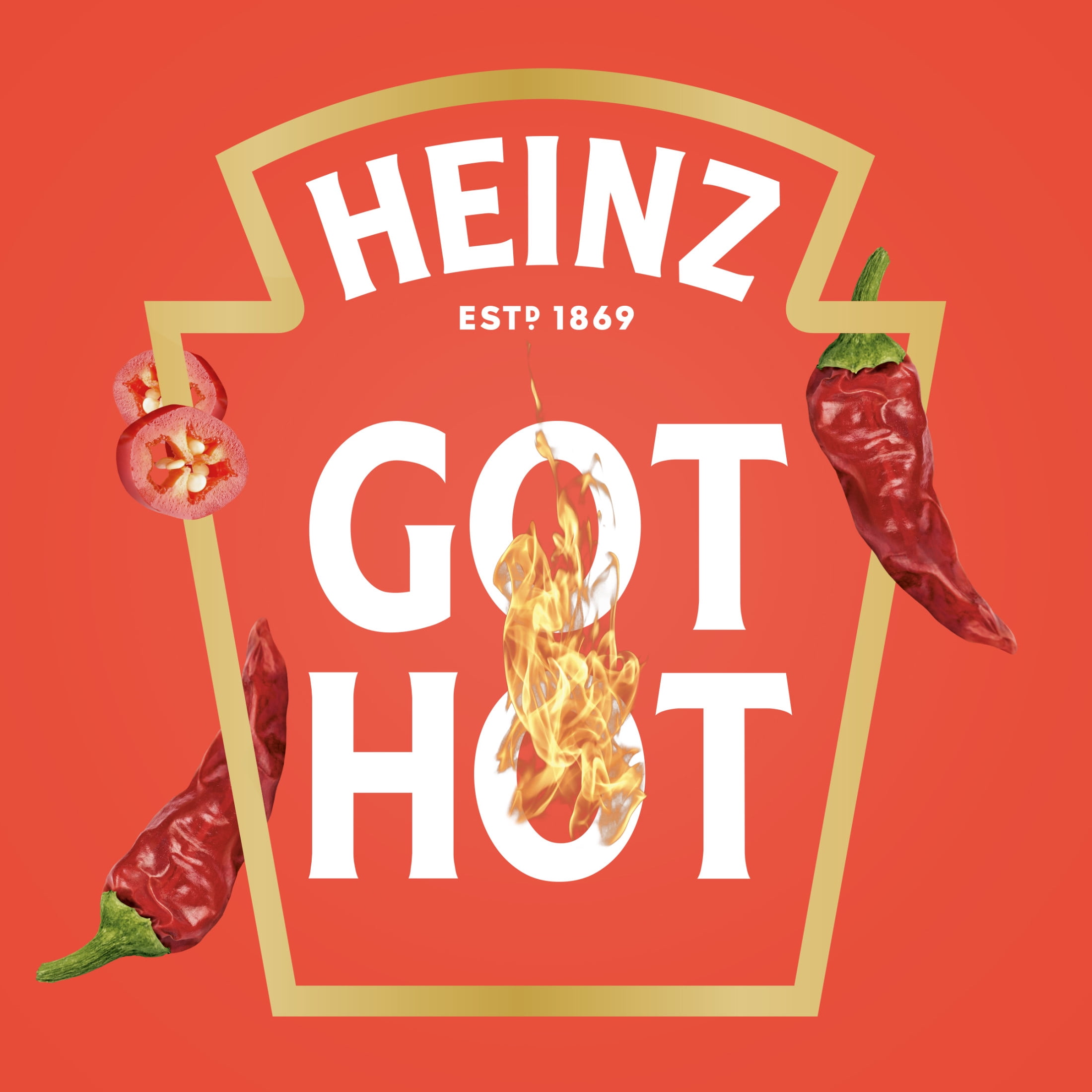Heinz Tomato Ketchup Blended With Chipotle Squeeze Bottle, 1 Bottle, for Easy Sharing and Easy Serving, Medium Hot, 14 oz