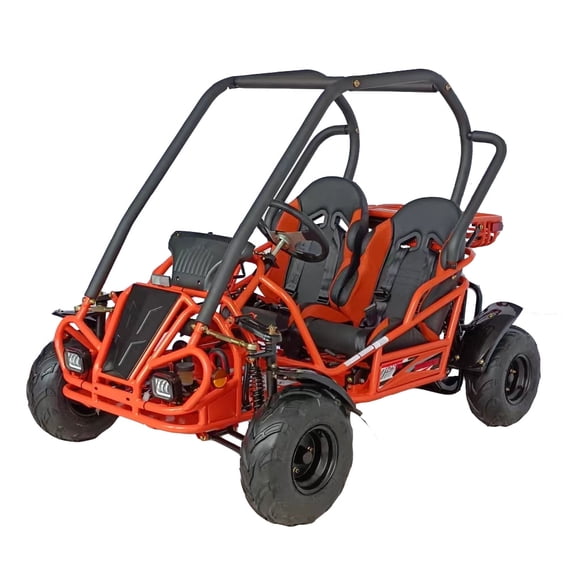 HHH Limited Edition 125cc Go Kart GKT125-9 Big Gokart with 3 Speed, 2 Seats, Large Size Kart for Youth (Factory Packaged) (Orange)