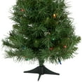 thumbnail image 5 of Northlight Pre-Lit Medium Royal Pine Artificial Christmas Tree - 2' - Multicolor Lights, 5 of 5