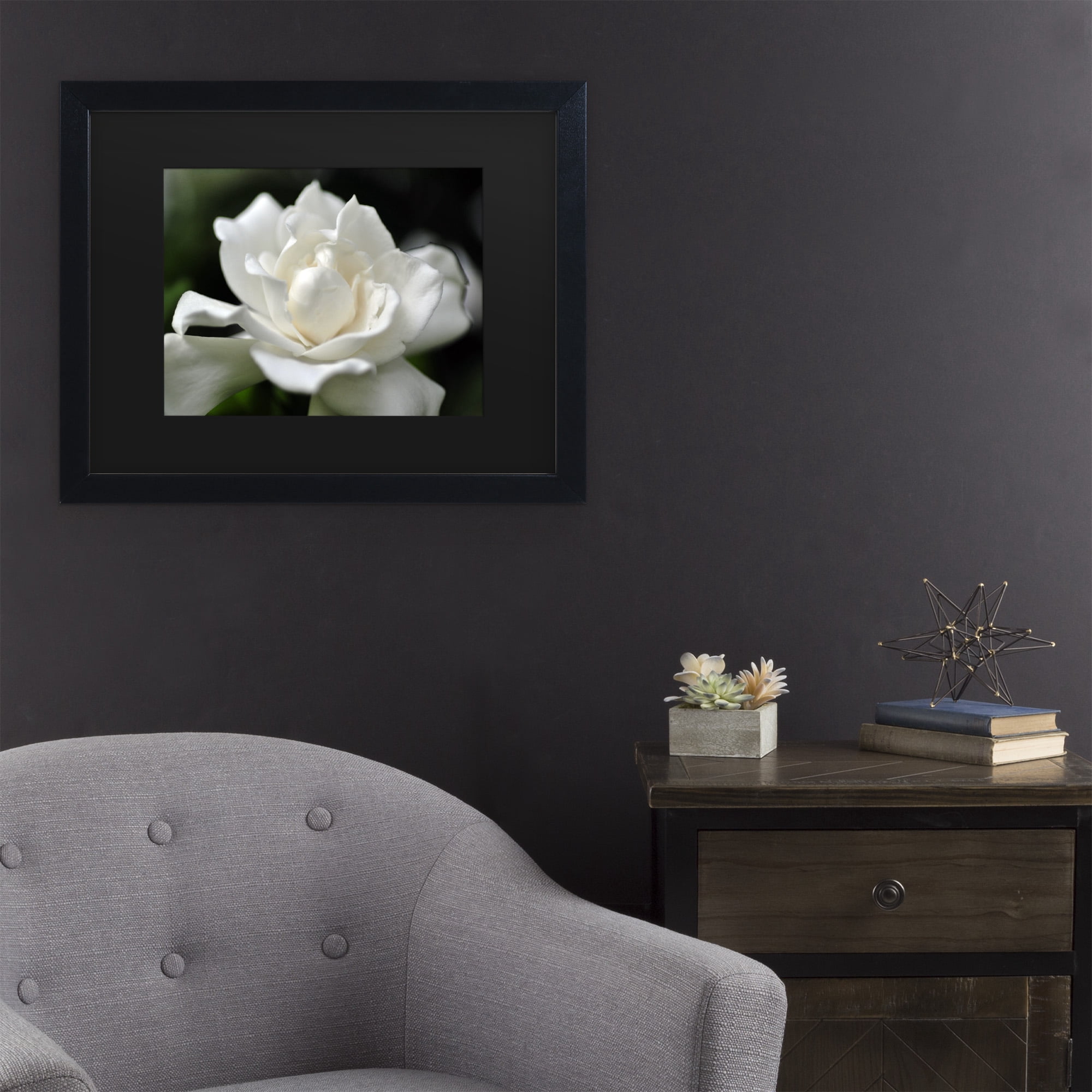 Trademark Fine Art 'Lovely Gardenia' Canvas Art by Kurt Shaffer
