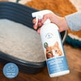 MESSY PET CAT Pet Stain Odor Remover with Natural Enzymes, 27.05 Fluid Ounce