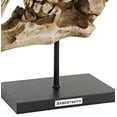thumbnail image 2 of Sabertooth Tiger Cat Fossil Skull Skeleton Replica Statue With Museum Pole Mount, 2 of 5