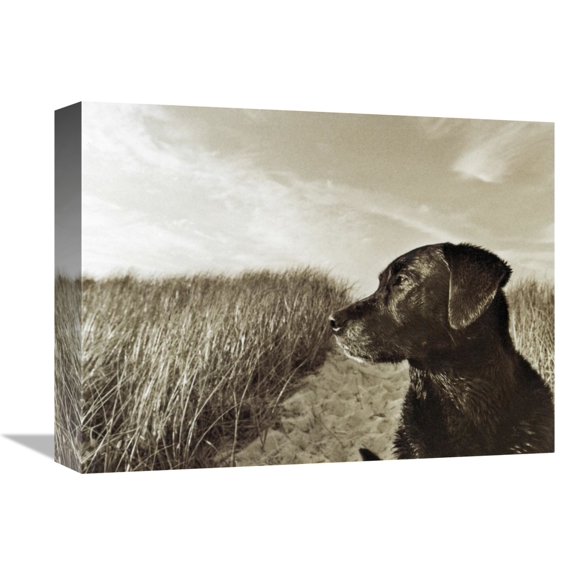 Global Gallery's 'At the Beach' By Jim Dratfield Stretched Canvas Wall Art