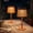 Orange(LED Module), variant on The Growing Ground 2 pack Outdoor Solar Table Lamps, Modern Decorative Lights with Warm LED for Patio, Deck & Garden, Sage Green