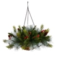 thumbnail image 3 of 24in. Pre-Lit Artificial Pine and Berry Christmas Hanging Basket with LED Lights, 3 of 5
