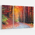 thumbnail image 3 of Designart 'Road in Beautiful Autumn Forest ' Modern Forest Canvas Art, 3 of 3