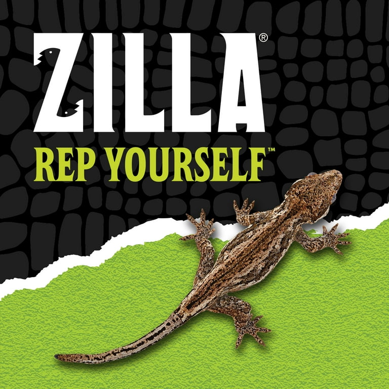 Kom voor reptielen | Voedselschaal met zuignap voor reptielen Kom voor reptielen | Voedselschaal met zuignap voor reptielen