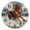 A075, variant on 10 Inch Wall Clock Battery Operated Square Clock for Office, Kitchen, Outdoor, Living Room, Colorful Starfish And Seashells On The Beach