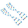thumbnail image 4 of KAKOWELY kids chemistry set 2pcs Dna Double Helix Model Components Educational Teaching Model Dna Teaching Molecular Model Self-Assembling Model Dna Model Kit, 4 of 4