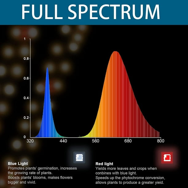 T5 full spectrum sale grow light bulbs