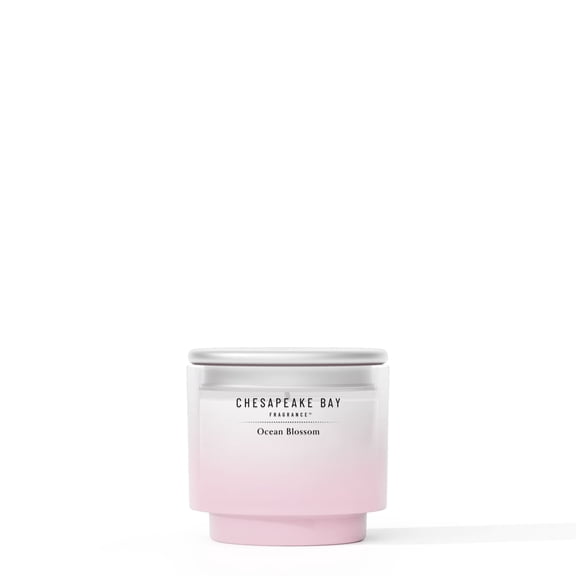 Chesapeake Bay Candle 4.5oz | Ocean Blossom Scent |Exclusive Mood Evoking Fragrance |Sea Glass-Inspired Jar | Premium Soy Blend Wax with Essential Oils | Coastal Fragrance for Home Décor or Gifting