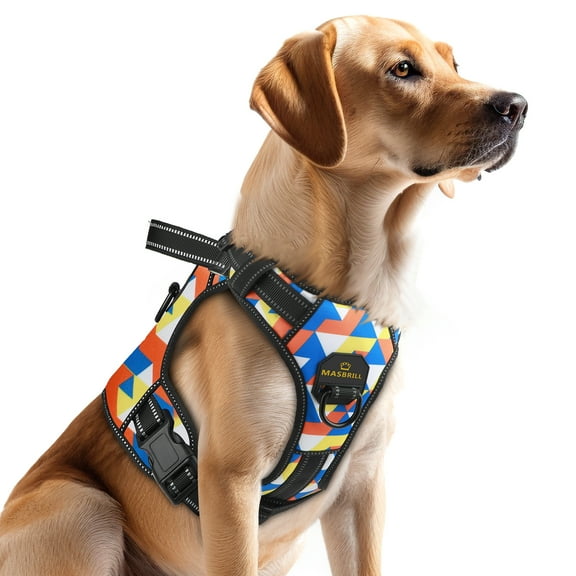 MASBRILL No Pull Dog Harness, Reflective Dog Vest with Handle No Choke Soft Padded Dog Harness for Small Dog-Geometry-M