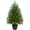 3Ft, variant on Yastouay 2FT Tabletop Christmas Tree Artificial Norfolk Pine Pre-Lit Xmas Tree with Lights for Front Porch Indoor Outdoor Christmas Decor